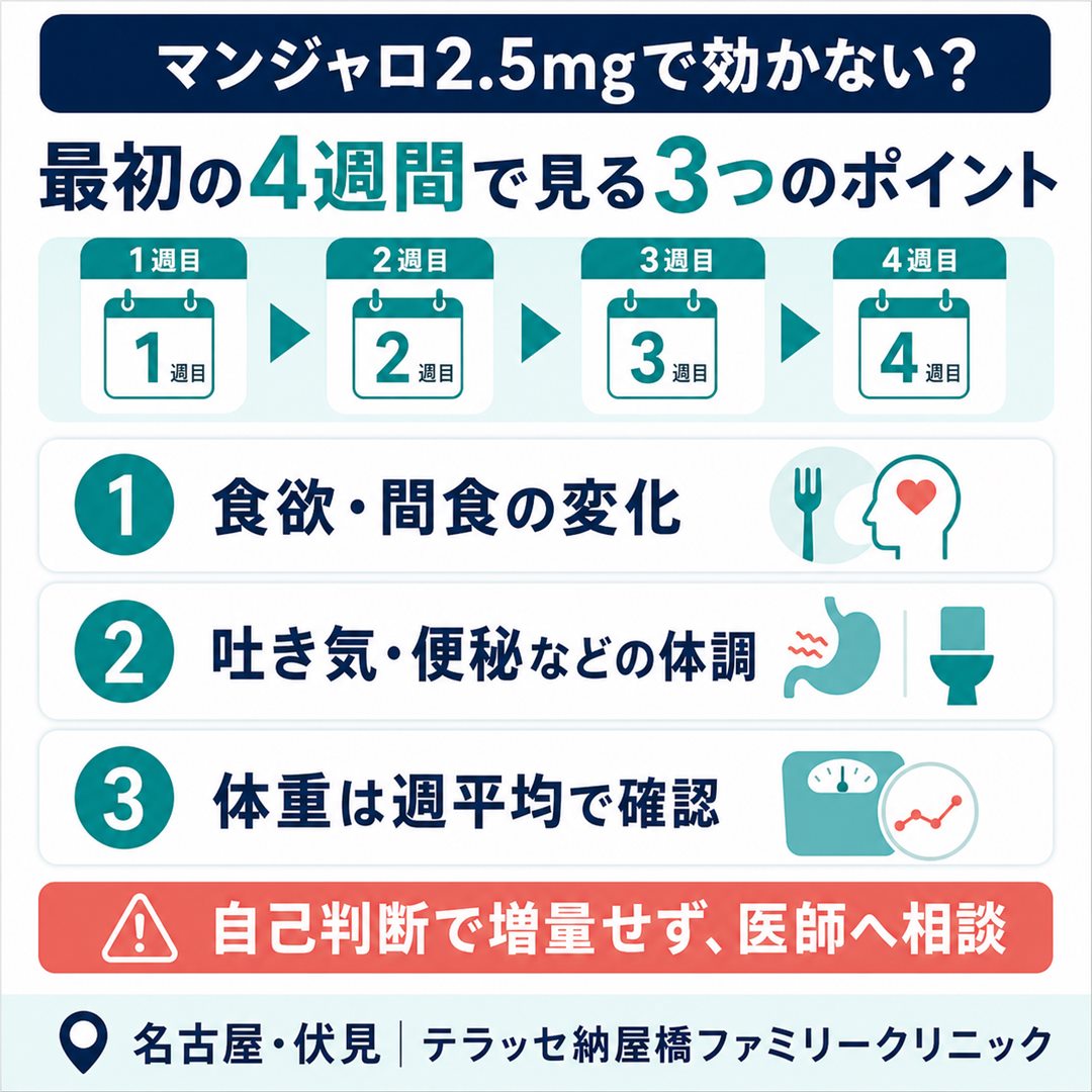 マンジャロ2.5mgの最初の4週間で確認する3つのポイント