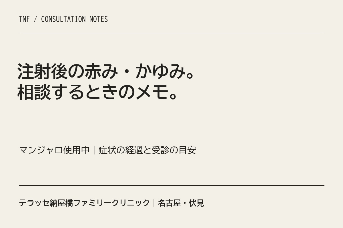 注射後の赤み・かゆみ。相談時のメモと受診の目安を案内する表紙。
